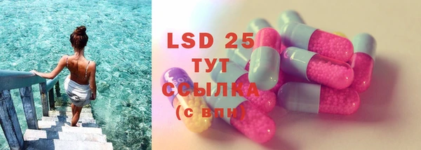 прущий лед Дмитриев