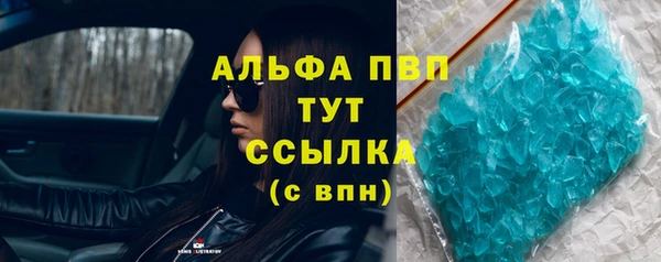 прущий лед Дмитриев