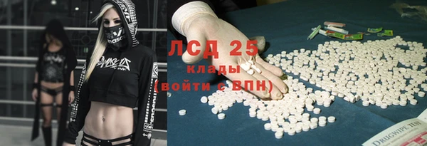 стафф Дмитров
