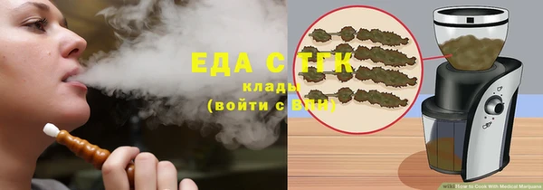 прущий лед Дмитриев