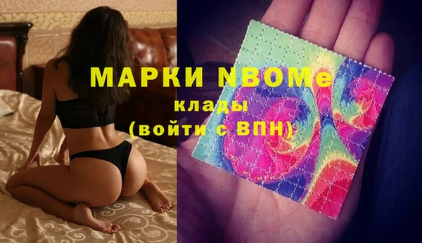 стафф Дмитров