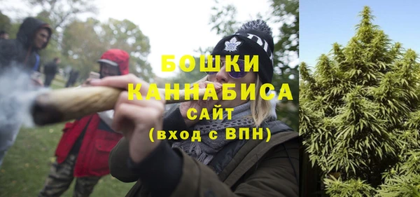 прущий лед Дмитриев