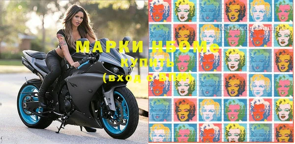 стафф Дмитров
