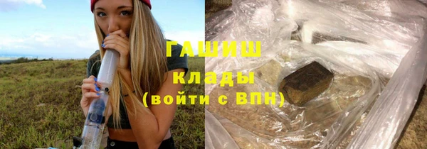 прущий лед Дмитриев