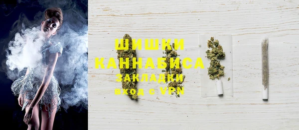 прущий лед Дмитриев